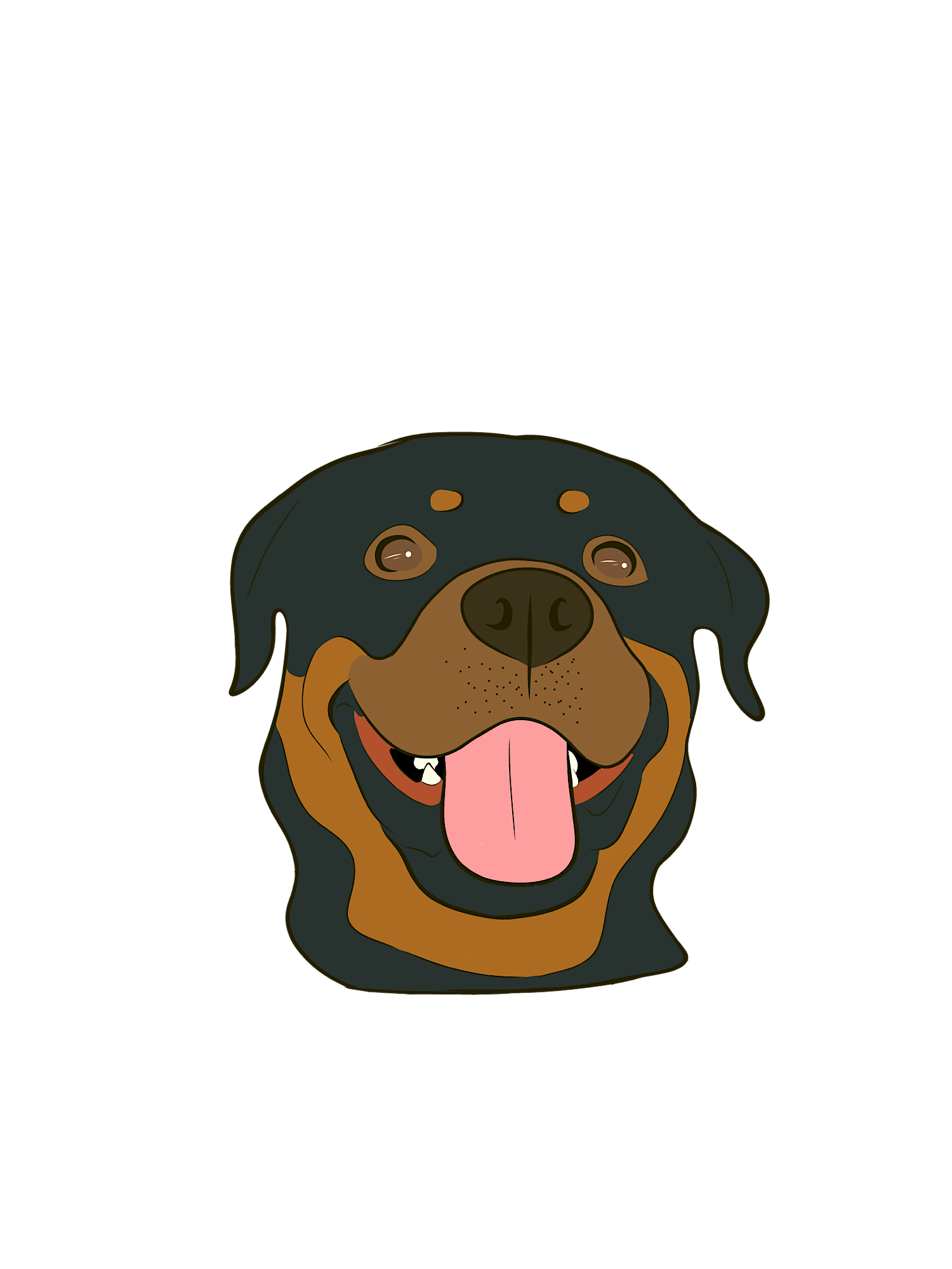 پالتو سورپرایزی